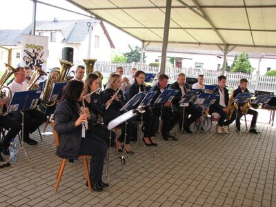 Drzewko Szczedrzyk (9)